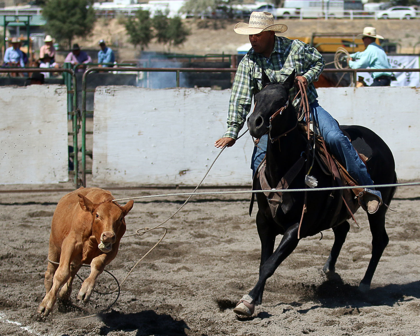 2018 Elko County Fair Open Branding Finals (24).JPG